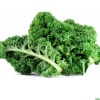 Cải xoăn (cải Kale) nhà trồng an toàn VietGAP